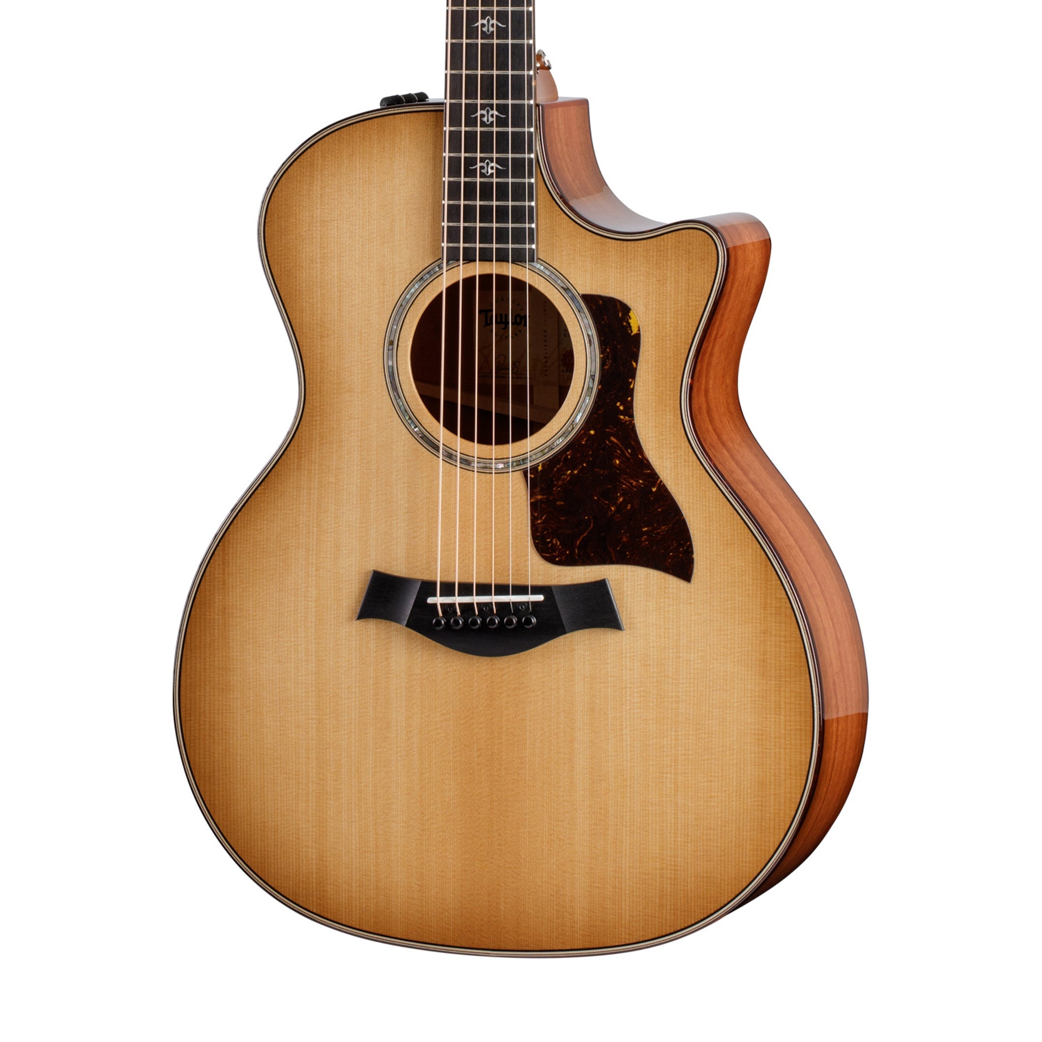 Taylor 514ce Urban Ironbark V-Class Grand Auditorium Acoustic Guitar w/Case |  TAYLOR |  ACOUSTIC GUITAR |  Zoso Music
