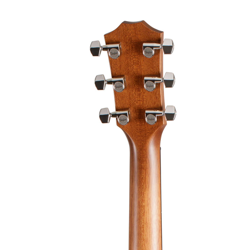 Taylor 514ce Urban Ironbark V-Class Grand Auditorium Acoustic Guitar w/Case |  TAYLOR |  ACOUSTIC GUITAR |  Zoso Music