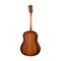 Taylor 517e Urban Ironbark Grand Pacific Acoustic Guitar w/Case, Torrefied Sitka |  TAYLOR |  ACOUSTIC GUITAR |  Zoso Music