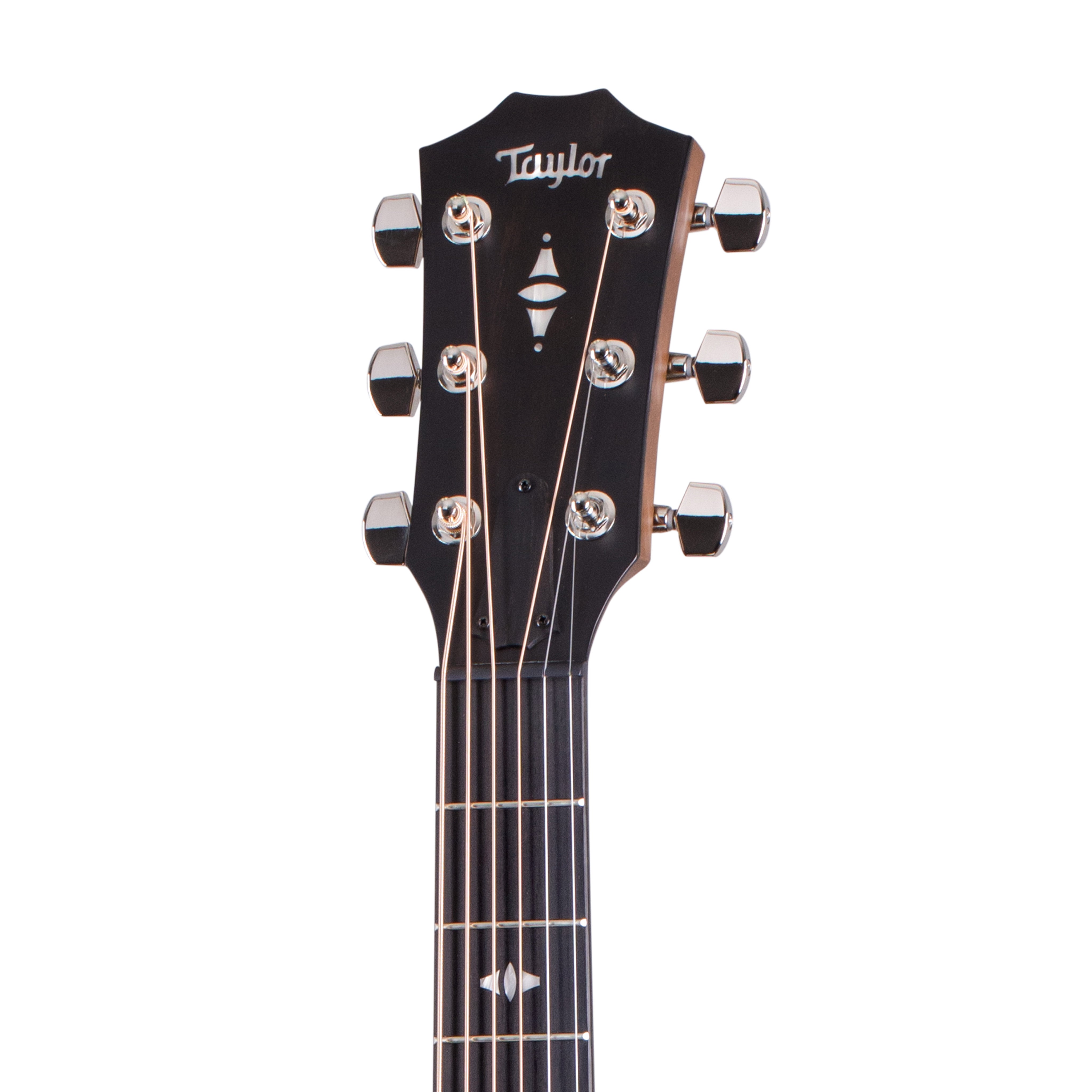 Taylor 517e Urban Ironbark Grand Pacific Acoustic Guitar w/Case, Torrefied Sitka |  TAYLOR |  ACOUSTIC GUITAR |  Zoso Music