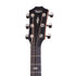 Taylor 517e Urban Ironbark Grand Pacific Acoustic Guitar w/Case, Torrefied Sitka |  TAYLOR |  ACOUSTIC GUITAR |  Zoso Music
