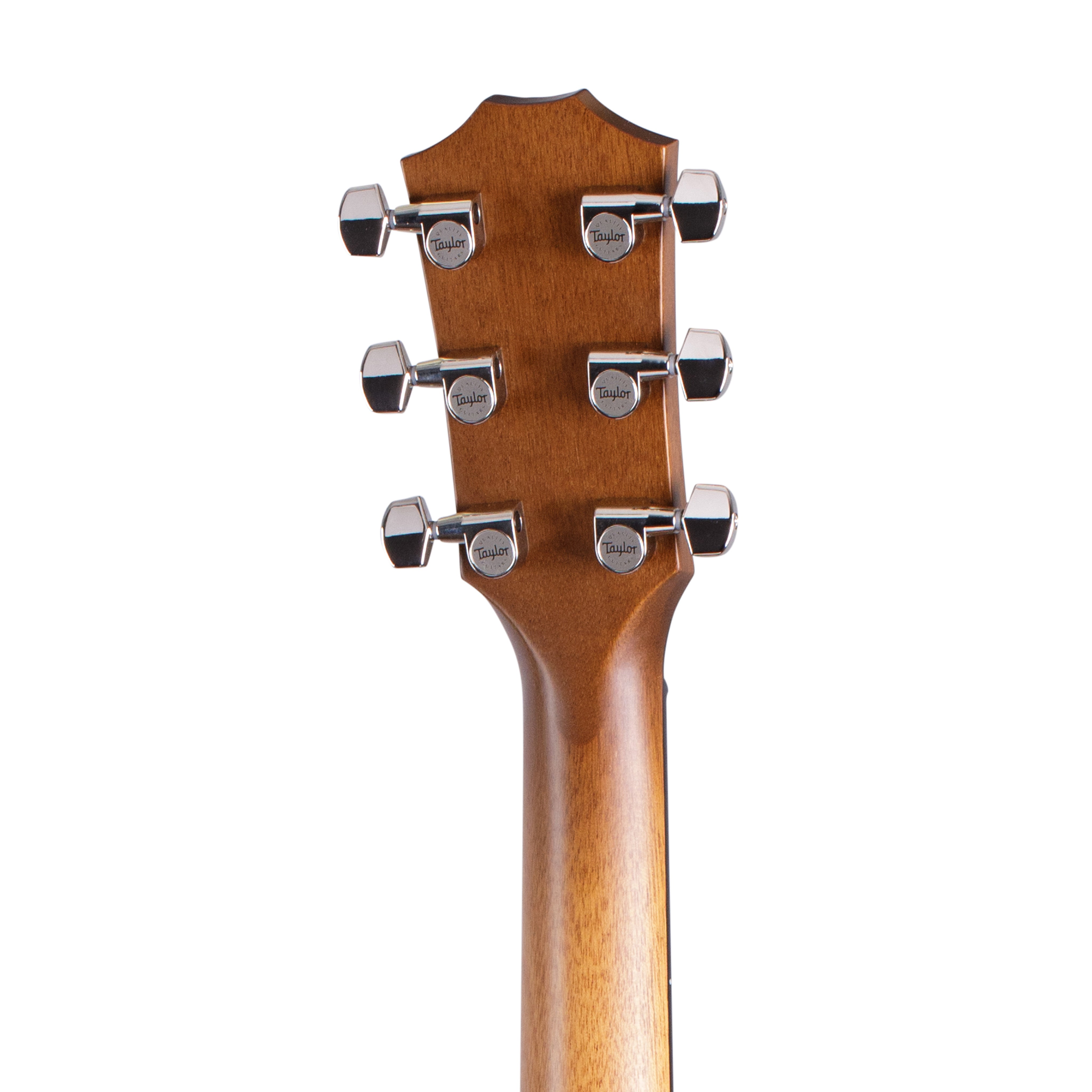 Taylor 517e Urban Ironbark Grand Pacific Acoustic Guitar w/Case, Torrefied Sitka |  TAYLOR |  ACOUSTIC GUITAR |  Zoso Music