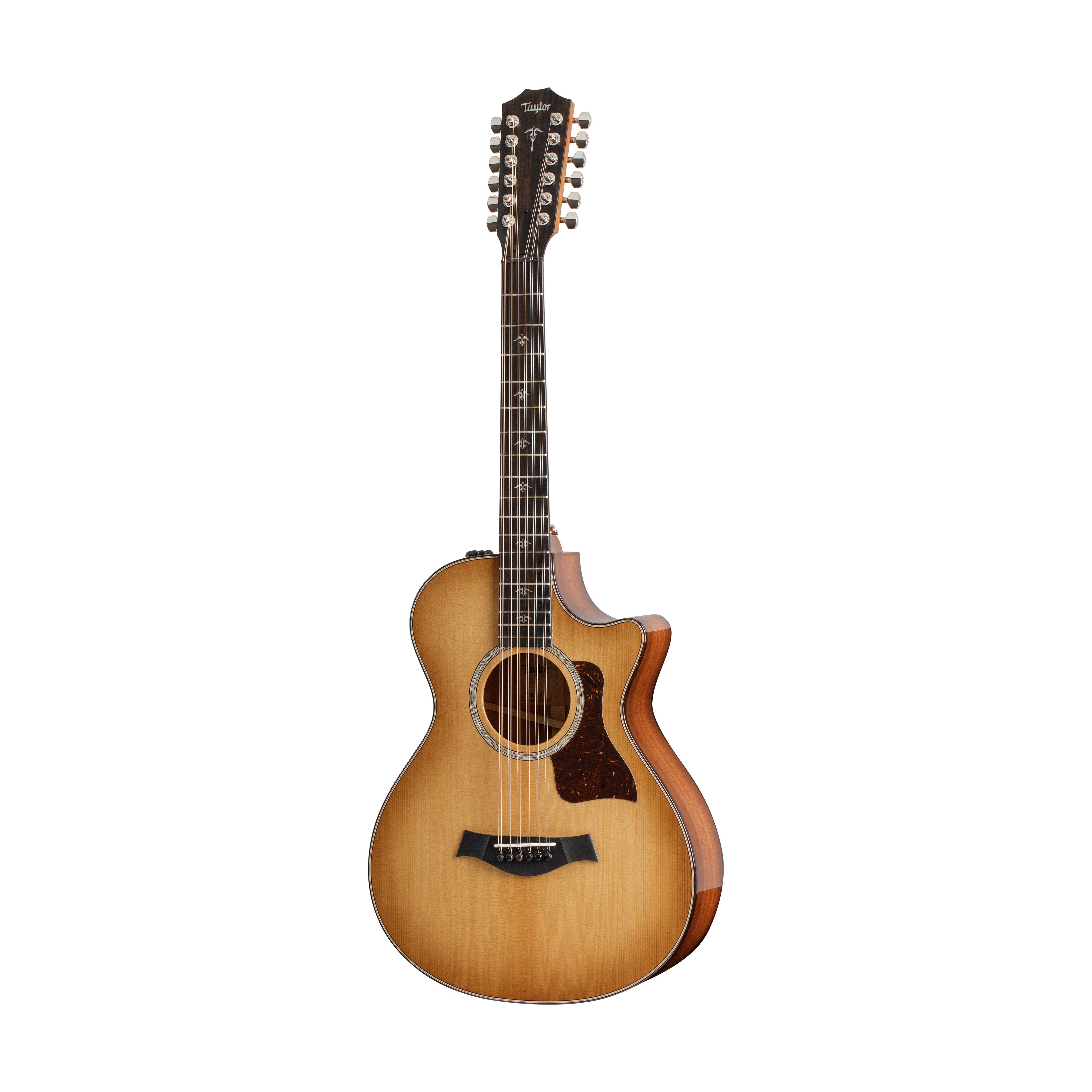 Taylor 552ce Urban Ironbark Grand Concert 12-String Acoustic Guitar w/Case, Torrefied Sitka |  TAYLOR |  ACOUSTIC GUITAR |  Zoso Music