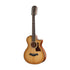 Taylor 552ce Urban Ironbark Grand Concert 12-String Acoustic Guitar w/Case, Torrefied Sitka |  TAYLOR |  ACOUSTIC GUITAR |  Zoso Music