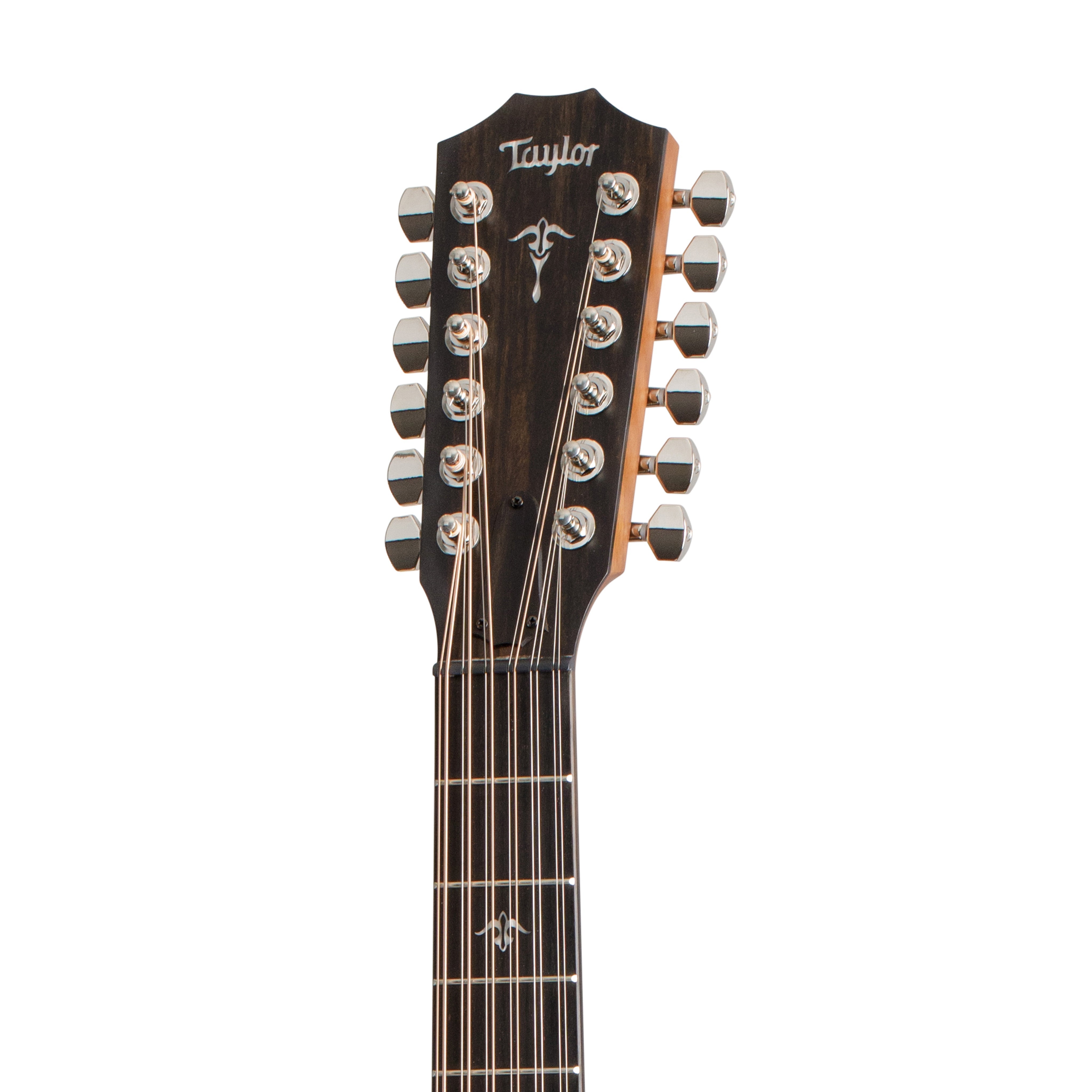 Taylor 552ce Urban Ironbark Grand Concert 12-String Acoustic Guitar w/Case, Torrefied Sitka |  TAYLOR |  ACOUSTIC GUITAR |  Zoso Music