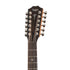 Taylor 552ce Urban Ironbark Grand Concert 12-String Acoustic Guitar w/Case, Torrefied Sitka |  TAYLOR |  ACOUSTIC GUITAR |  Zoso Music