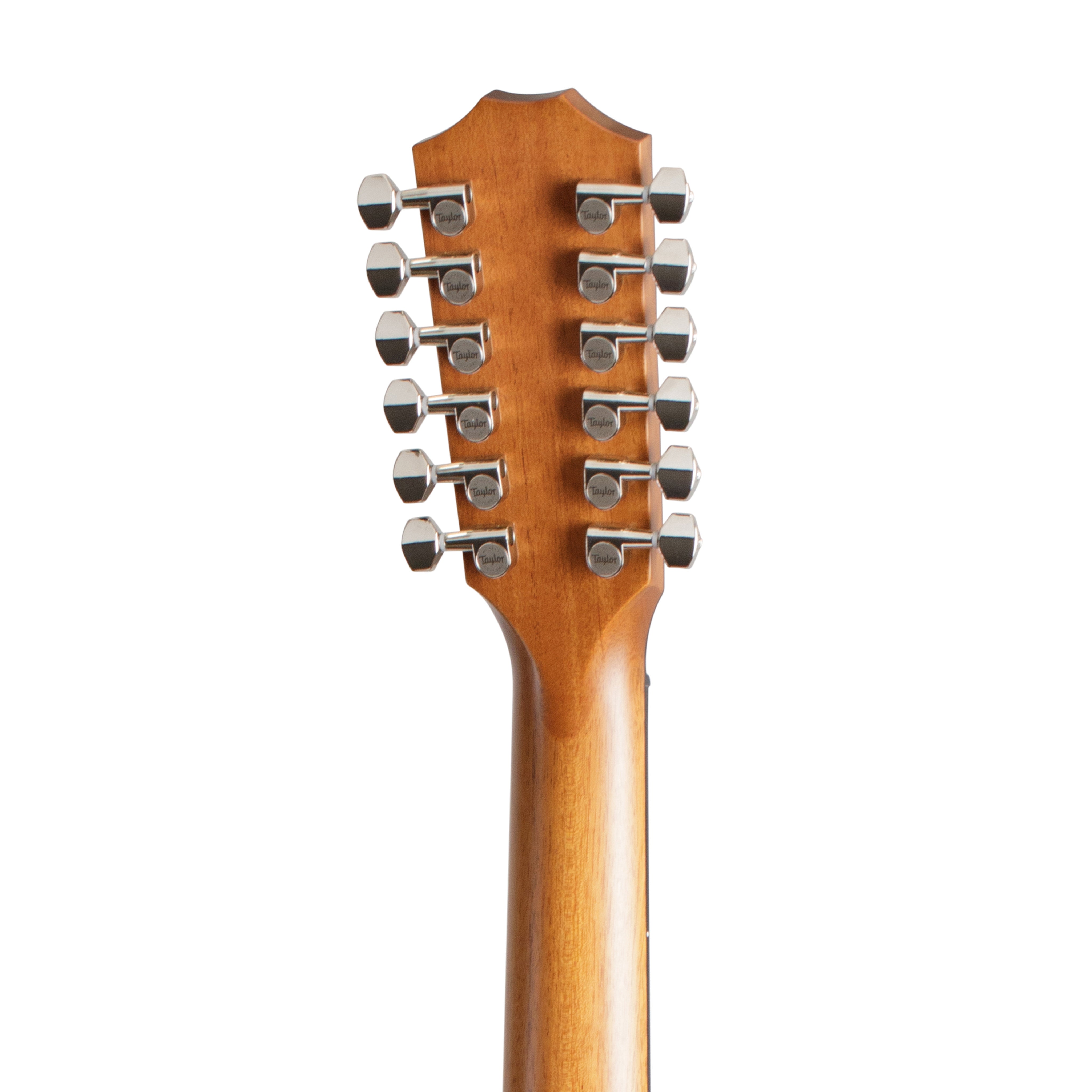 Taylor 552ce Urban Ironbark Grand Concert 12-String Acoustic Guitar w/Case, Torrefied Sitka |  TAYLOR |  ACOUSTIC GUITAR |  Zoso Music