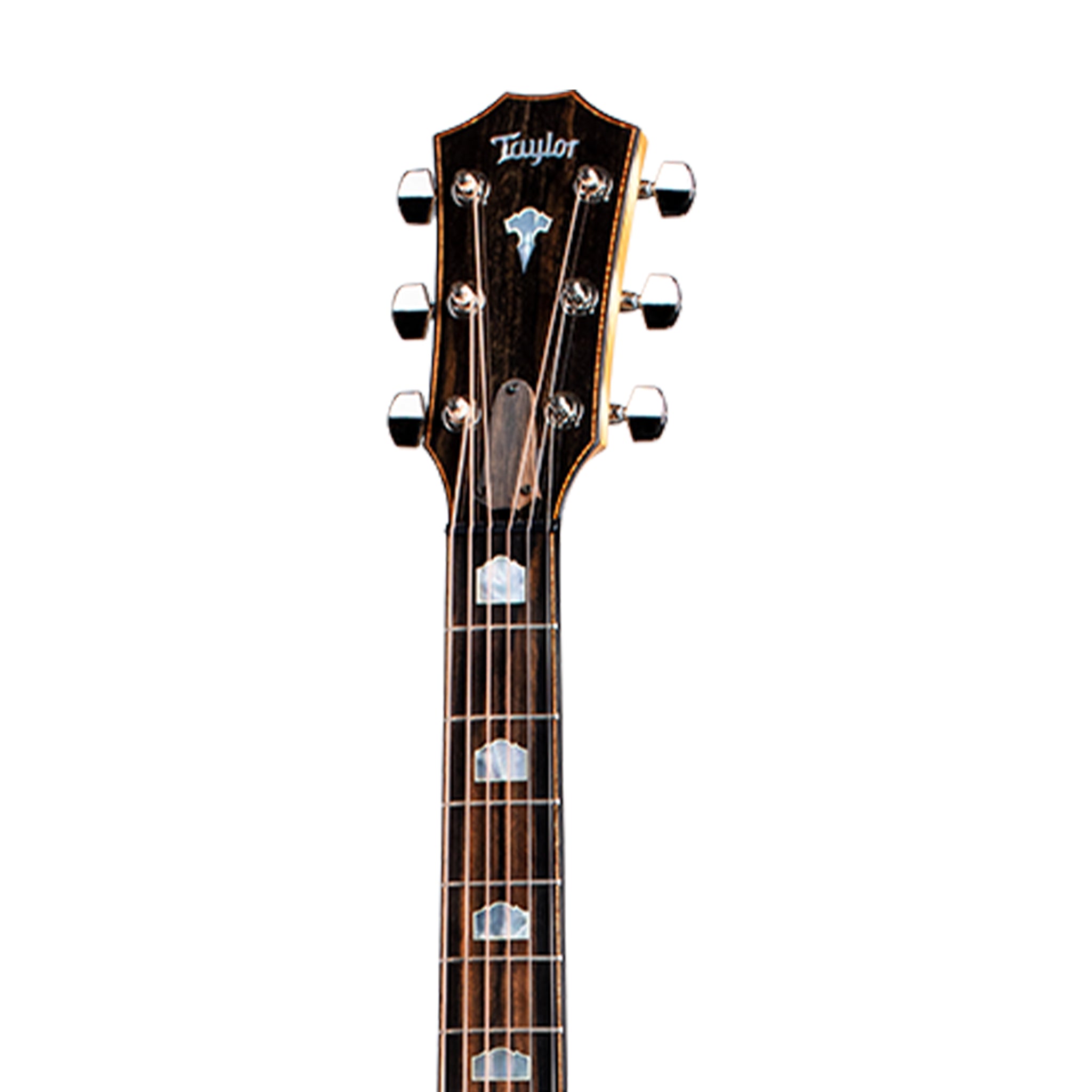 Taylor 618e V-Class Grand Orchestra Acoustic Guitar w/Case, Natural |  TAYLOR |  ACOUSTIC GUITAR |  Zoso Music