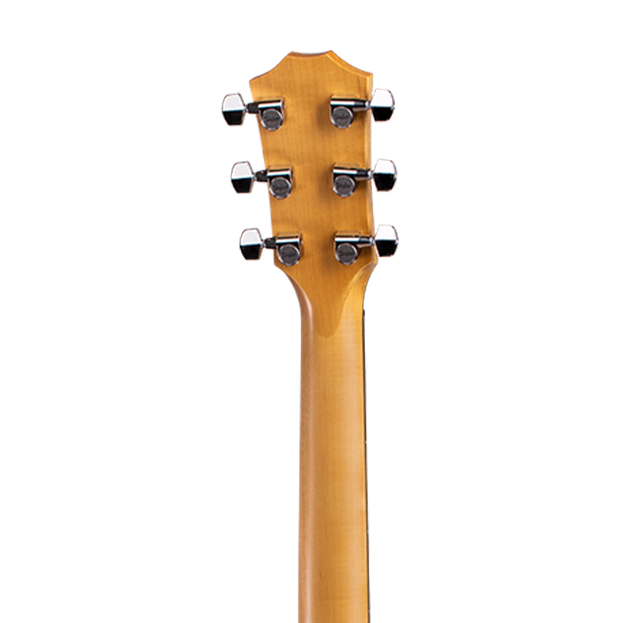 Taylor 618e V-Class Grand Orchestra Acoustic Guitar w/Case, Natural |  TAYLOR |  ACOUSTIC GUITAR |  Zoso Music