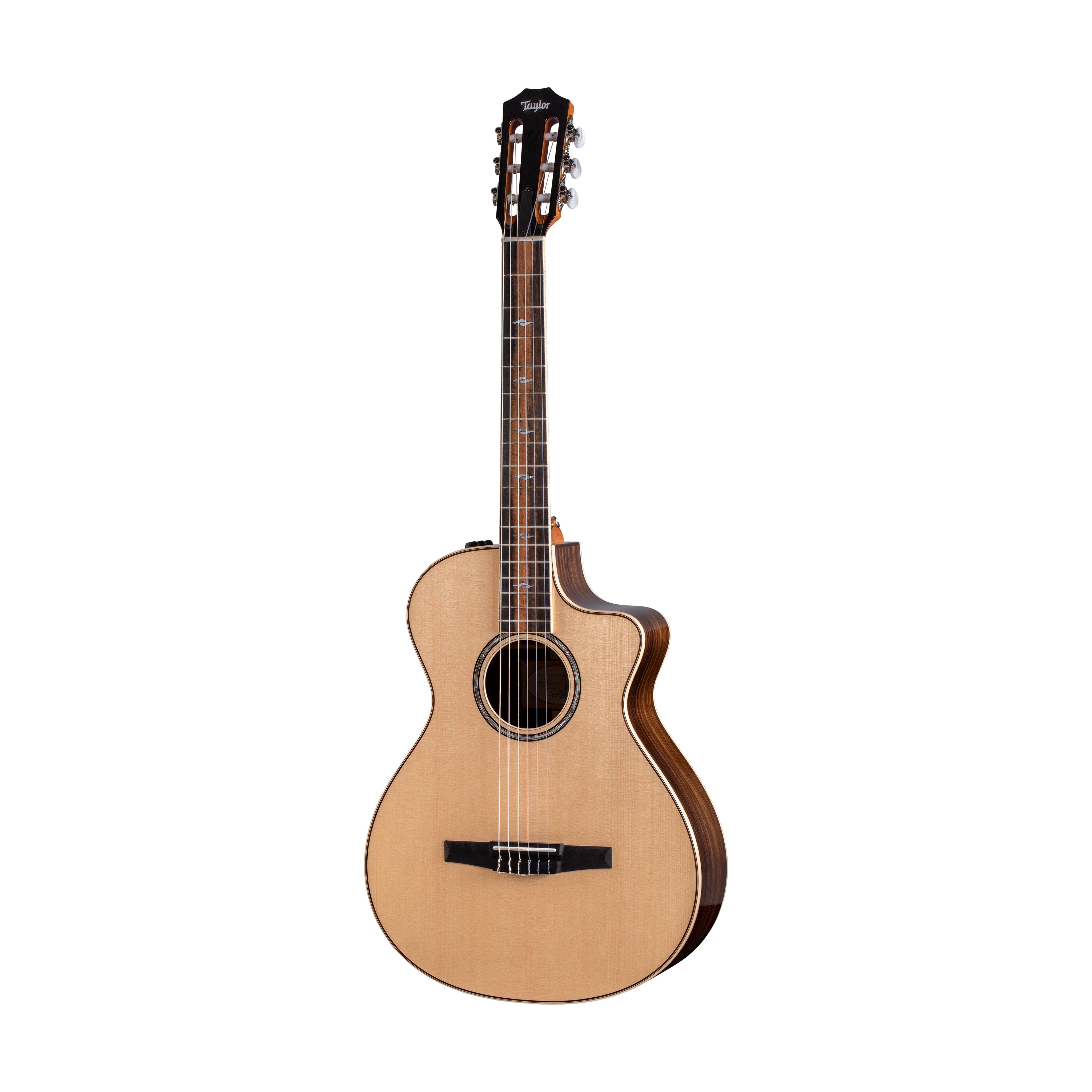 Taylor 812ce-N Grand Concert Nylon-string Acoustic Guitar w/Case |  TAYLOR |  ACOUSTIC GUITAR |  Zoso Music