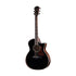Taylor 814ce Special Edition Grand Auditorium Acoustic Guitar w/Case, Blacktop |  TAYLOR |  ACOUSTIC GUITAR |  Zoso Music