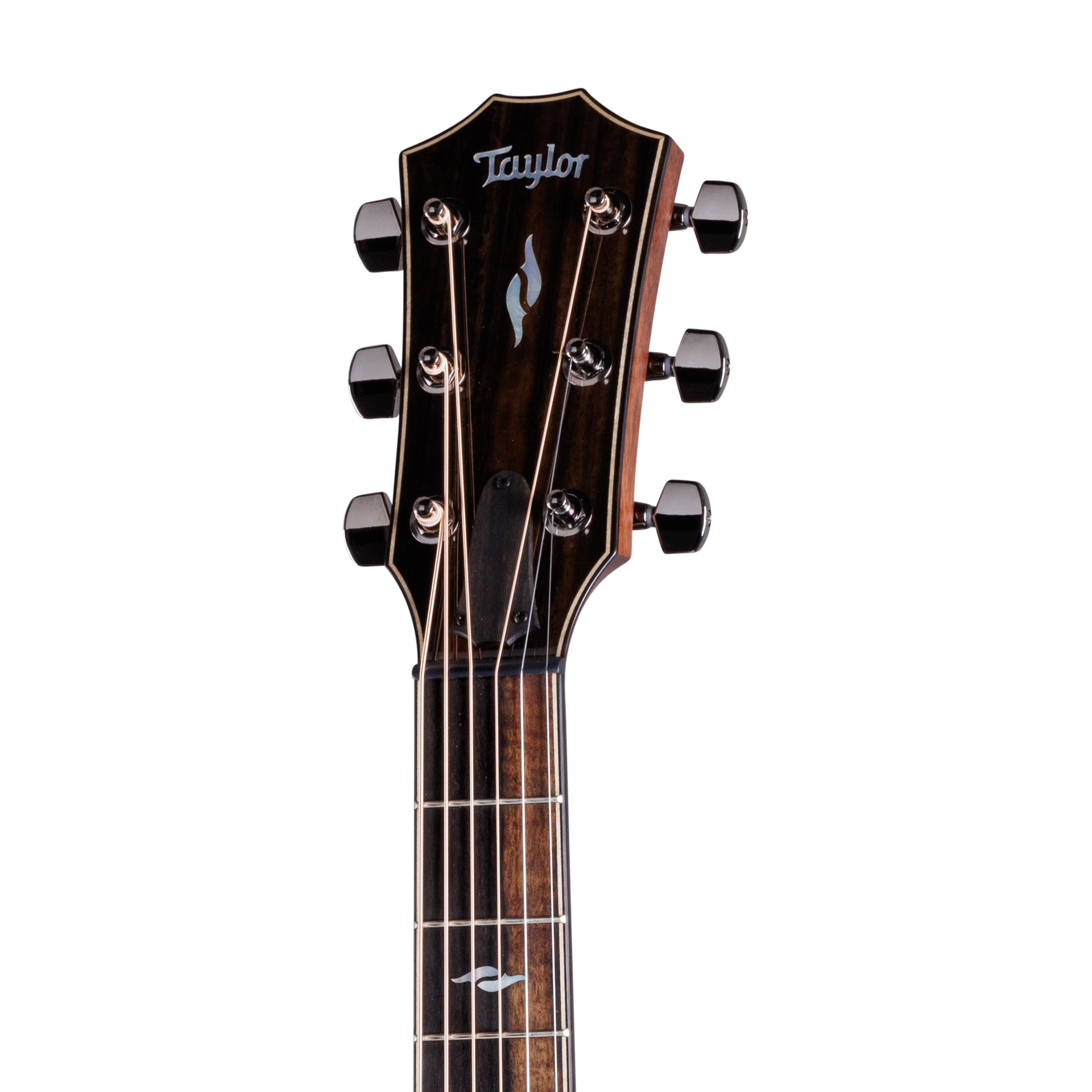Taylor 814ce Special Edition Grand Auditorium Acoustic Guitar w/Case, Blacktop |  TAYLOR |  ACOUSTIC GUITAR |  Zoso Music