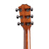 Taylor 814ce Special Edition Grand Auditorium Acoustic Guitar w/Case, Blacktop |  TAYLOR |  ACOUSTIC GUITAR |  Zoso Music