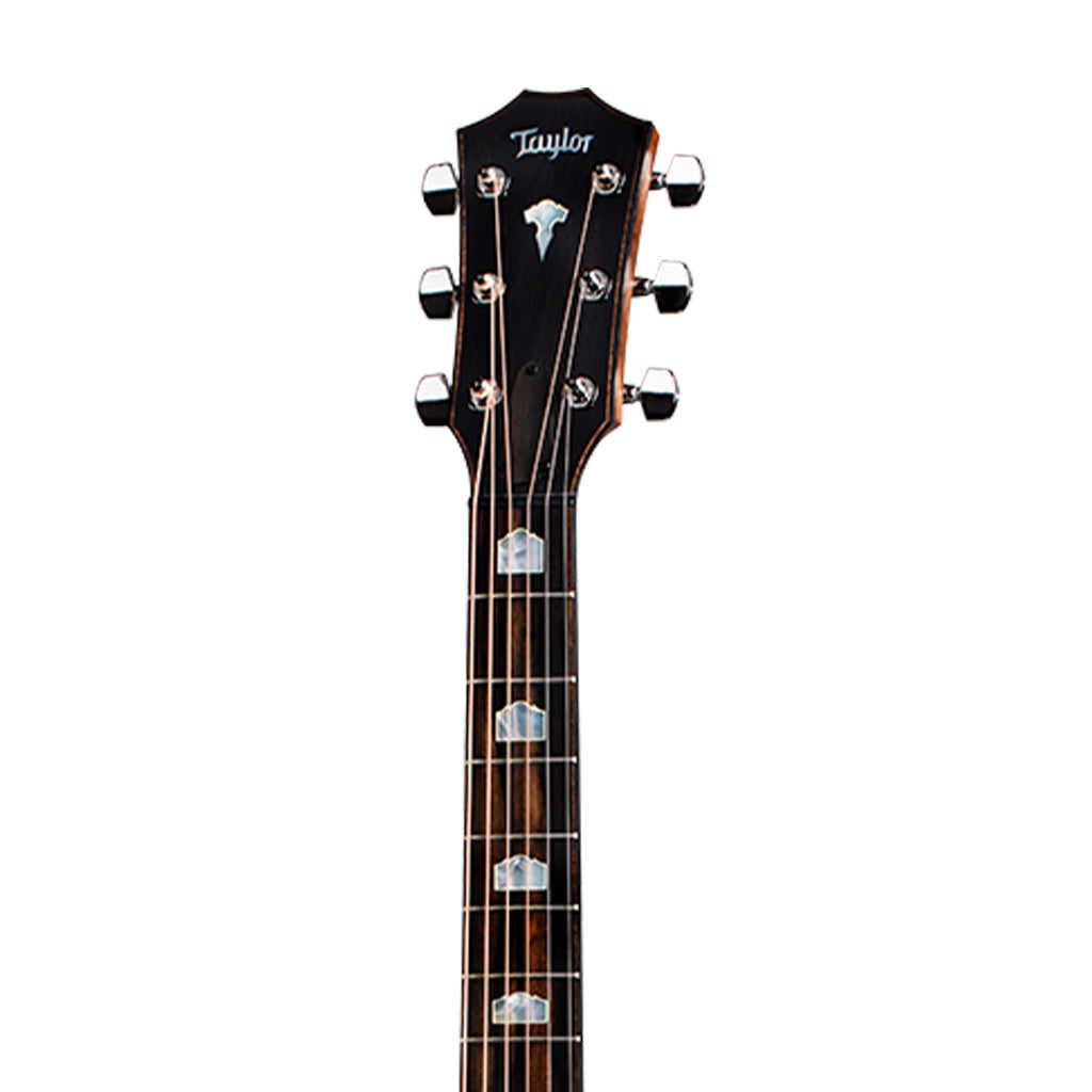 Taylor 818e V-Class Grand Orchestra Acoustic Guitar w/Case, Antique Blonde |  TAYLOR |  ACOUSTIC GUITAR |  Zoso Music