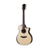 Taylor 914ce Special Edition RW/Redwood Grand Auditorium Acoustic Guitar w/Case, Cindy Inlay |  TAYLOR |  ACOUSTIC GUITAR |  Zoso Music