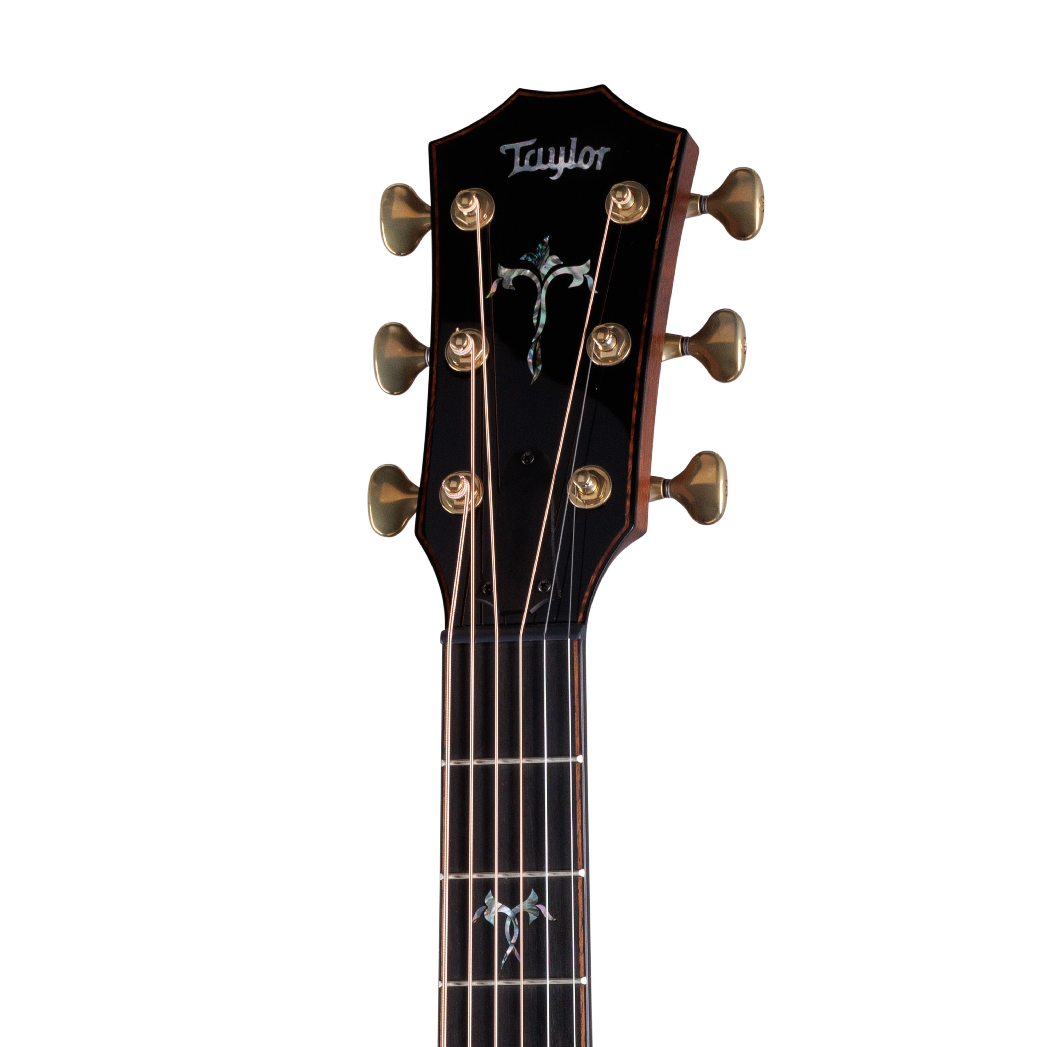 Taylor 914ce Special Edition RW/Redwood Grand Auditorium Acoustic Guitar w/Case, Cindy Inlay