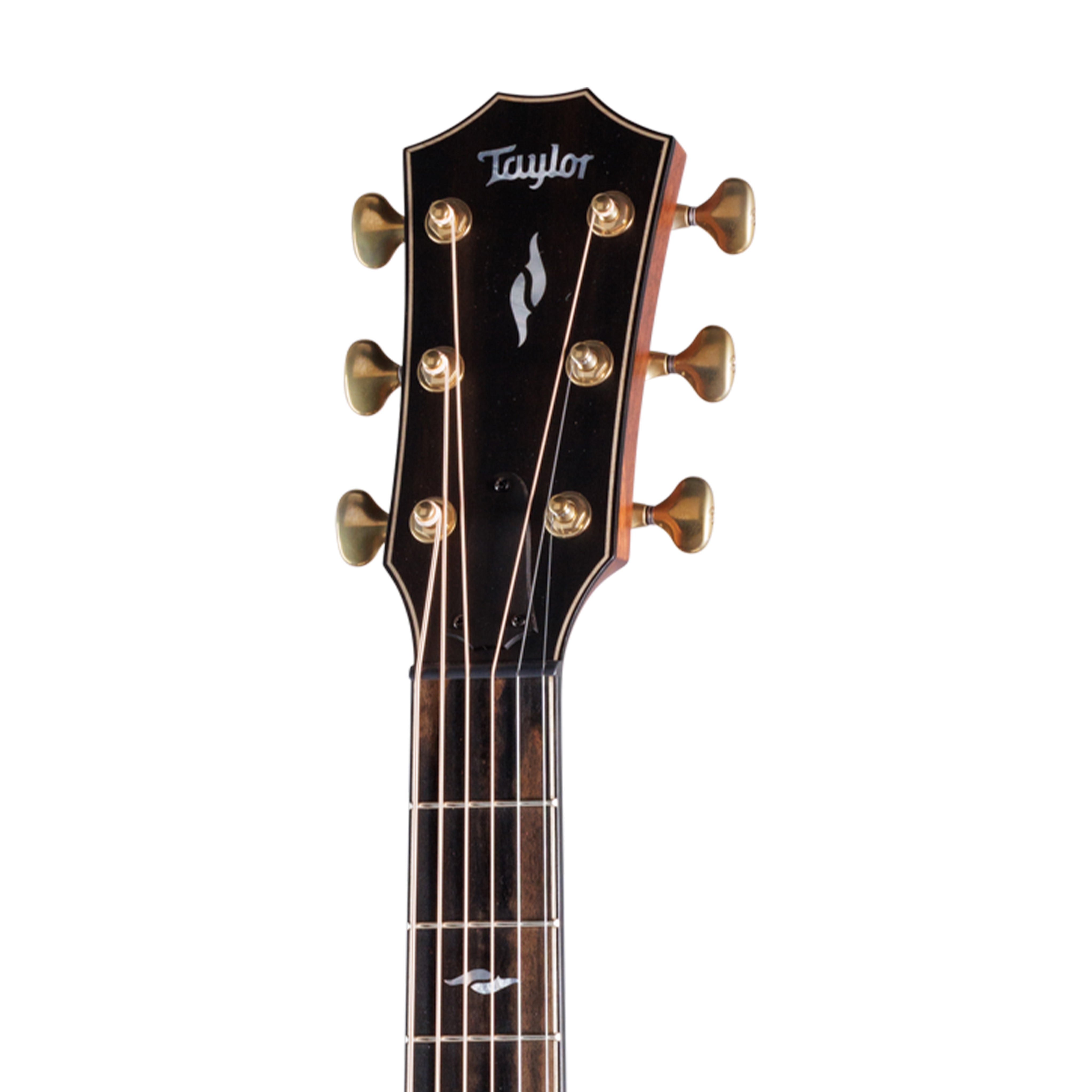 Taylor Builder's Edition 814ce Rosewood/Adirondack Auditorium Acoustic Guitar w/Case, Blacktop |  TAYLOR |  ACOUSTIC GUITAR |  Zoso Music