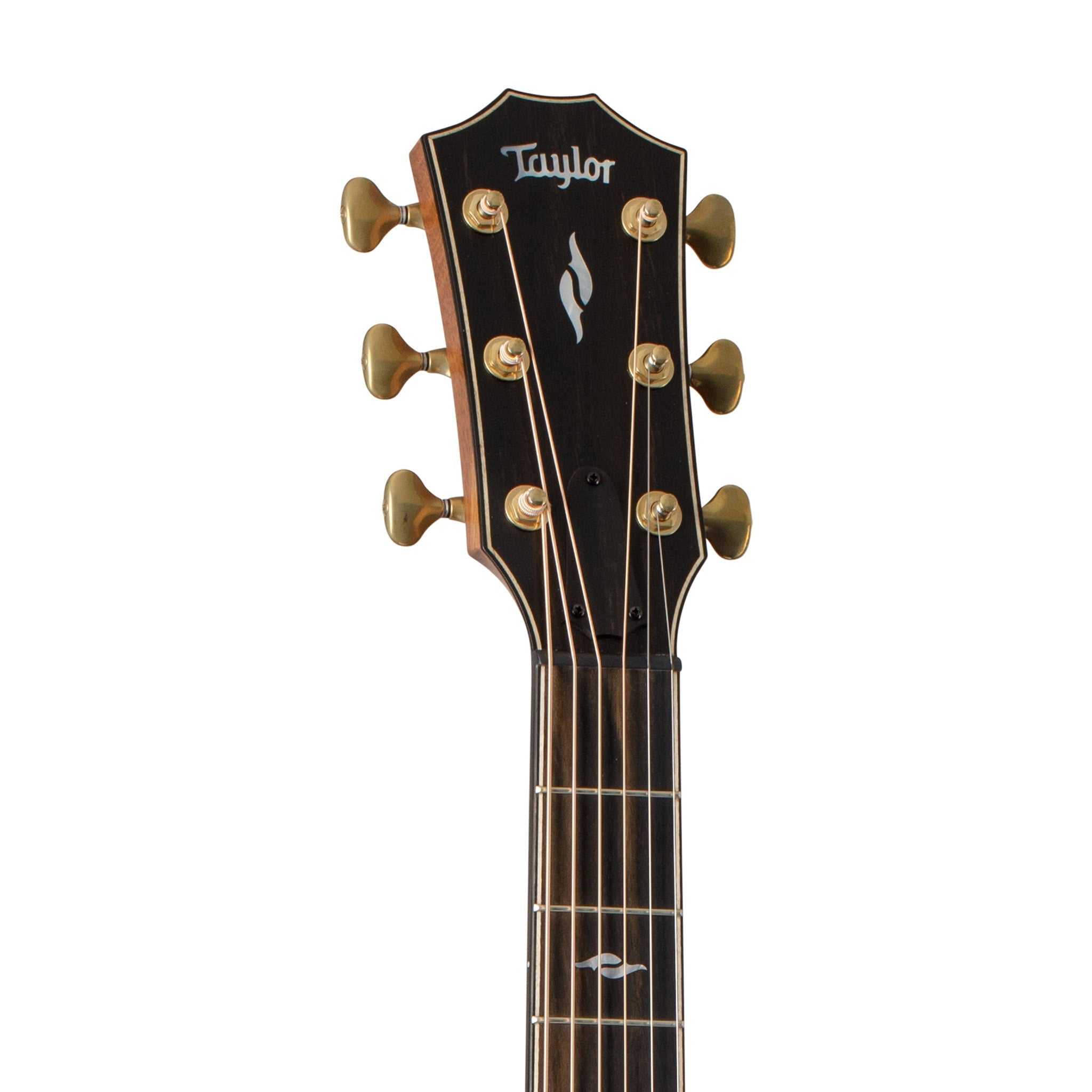 Taylor Builders Edition 814CE Rosewood/Adirondack Auditorium Acoustic Guitar w/Case |  TAYLOR |  ACOUSTIC GUITAR |  Zoso Music