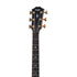 Taylor Builder's Edition 816ce V-Class Grand Symphony Acoustic Guitar w/Case, Natural |  TAYLOR |  ACOUSTIC GUITAR |  Zoso Music