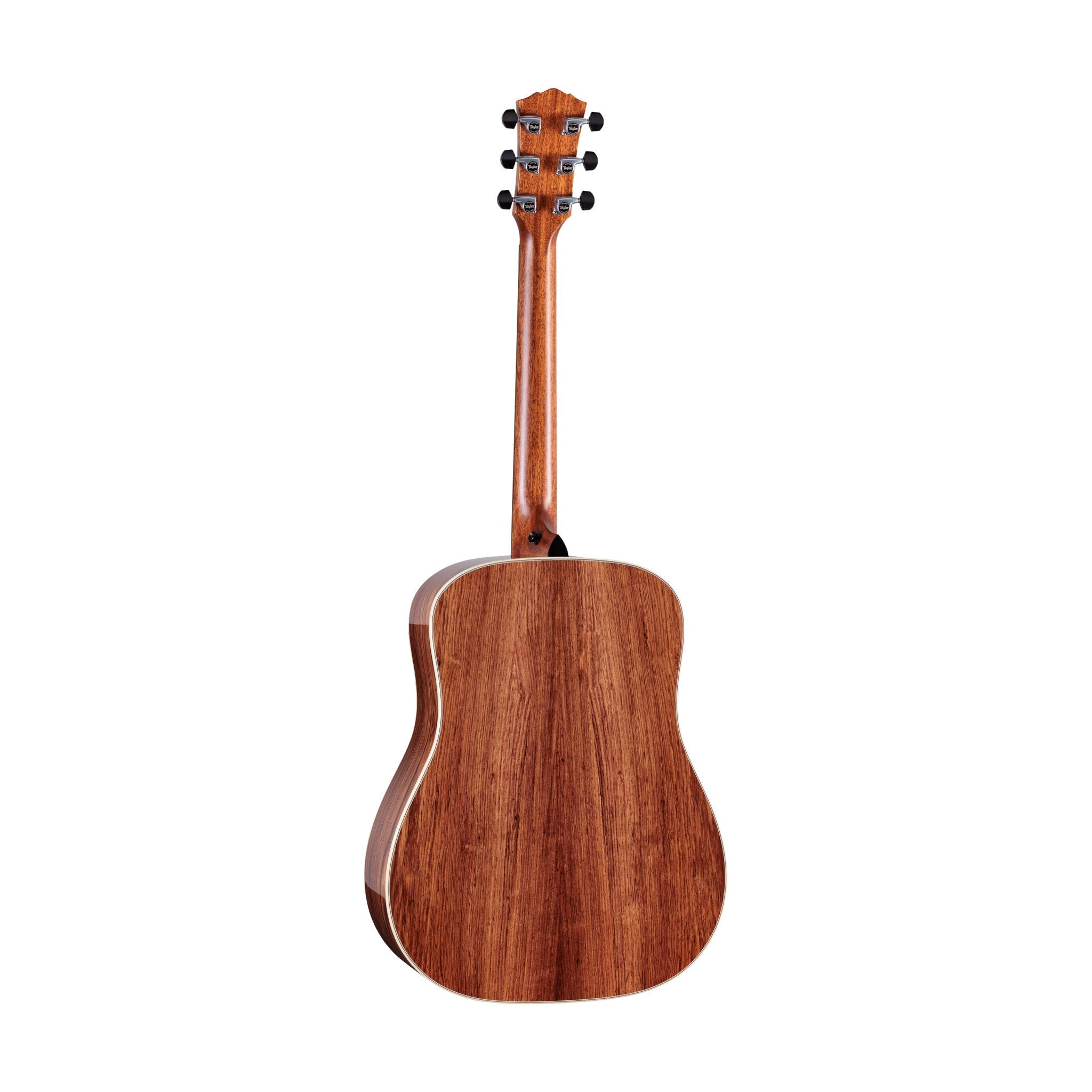 Taylor Gold Label 810e Honduran Rosewood/Torrefied Sitka Acoustic Guitar |  TAYLOR |  ACOUSTIC GUITAR |  Zoso Music