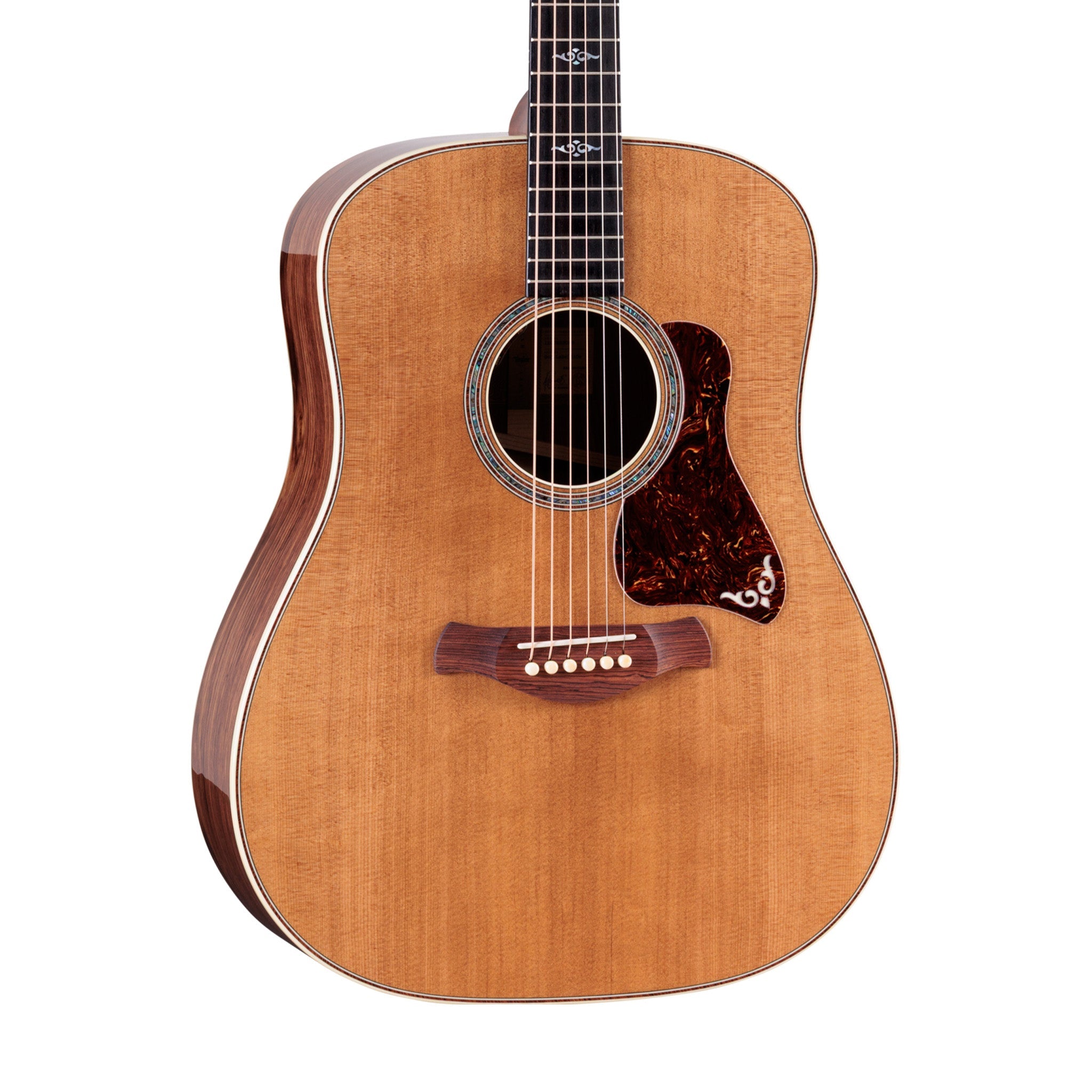 Taylor Gold Label 810e Honduran Rosewood/Torrefied Sitka Acoustic Guitar | Zoso Music Sdn Bhd