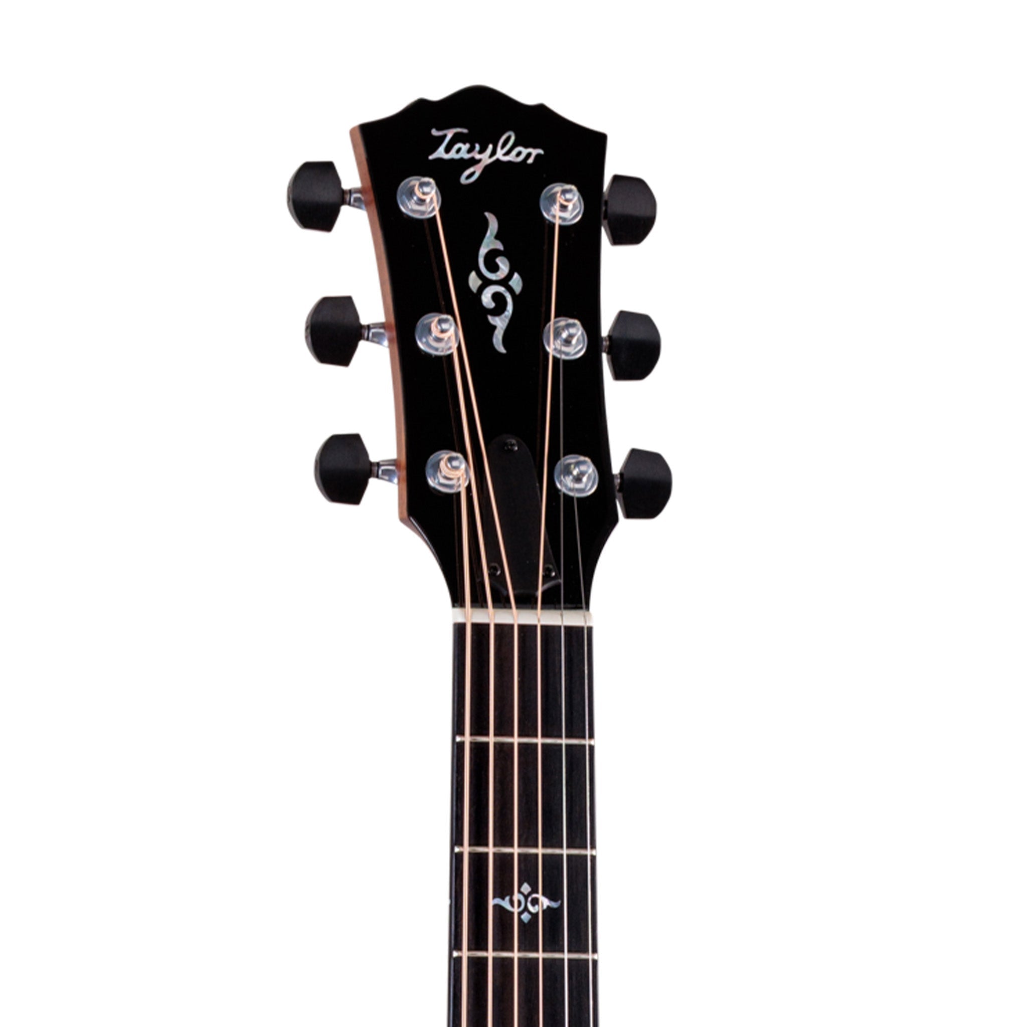Taylor Gold Label 810e Honduran Rosewood/Torrefied Sitka Acoustic Guitar |  TAYLOR |  ACOUSTIC GUITAR |  Zoso Music