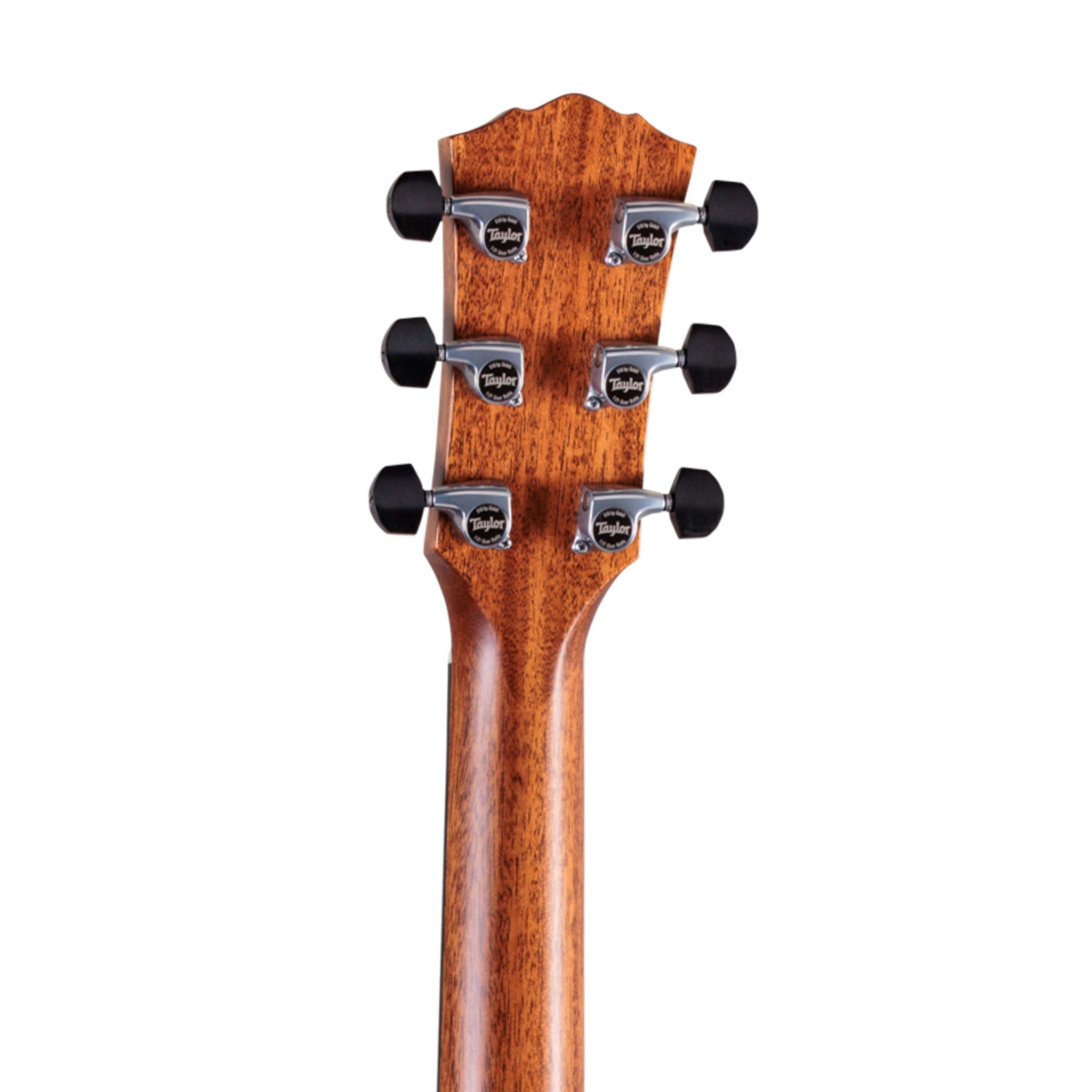 Taylor Gold Label 810e Honduran Rosewood/Torrefied Sitka Acoustic Guitar |  TAYLOR |  ACOUSTIC GUITAR |  Zoso Music
