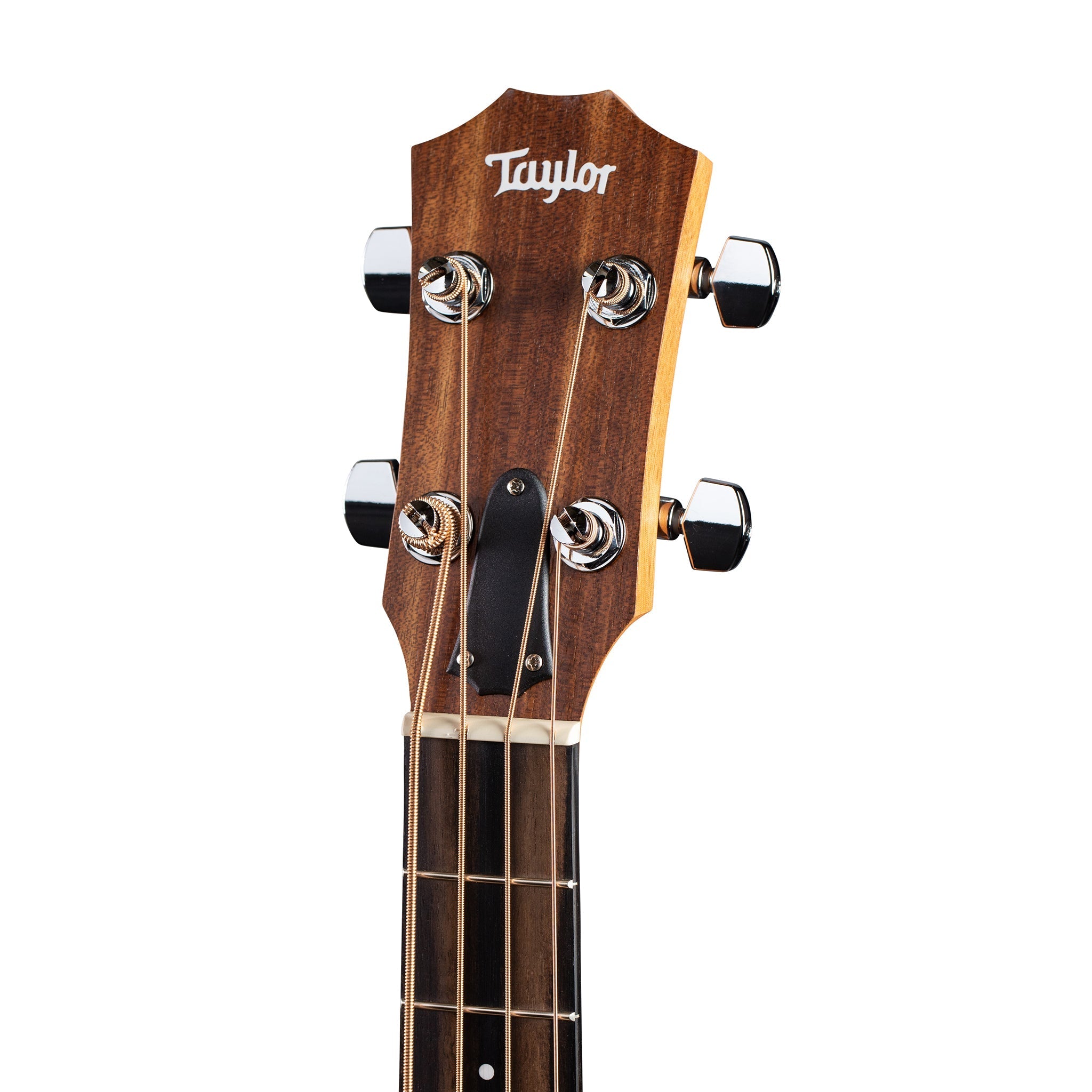 Taylor GS Mini-e Koa Bass Acoustic Guitar w/Bag |  TAYLOR |  BASS GUITAR |  Zoso Music