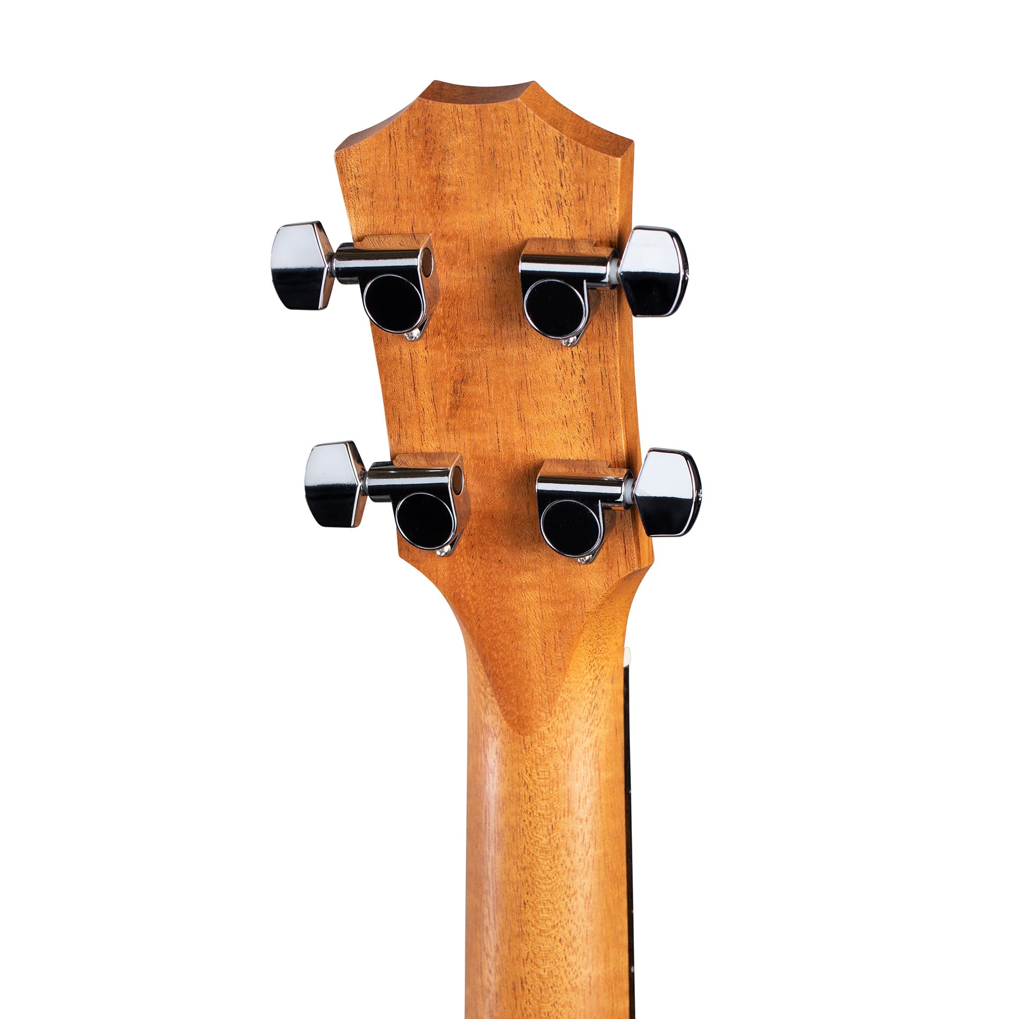 Taylor GS Mini-e Koa Bass Acoustic Guitar w/Bag |  TAYLOR |  BASS GUITAR |  Zoso Music