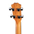 Taylor GS Mini-e Koa Bass Acoustic Guitar w/Bag |  TAYLOR |  BASS GUITAR |  Zoso Music