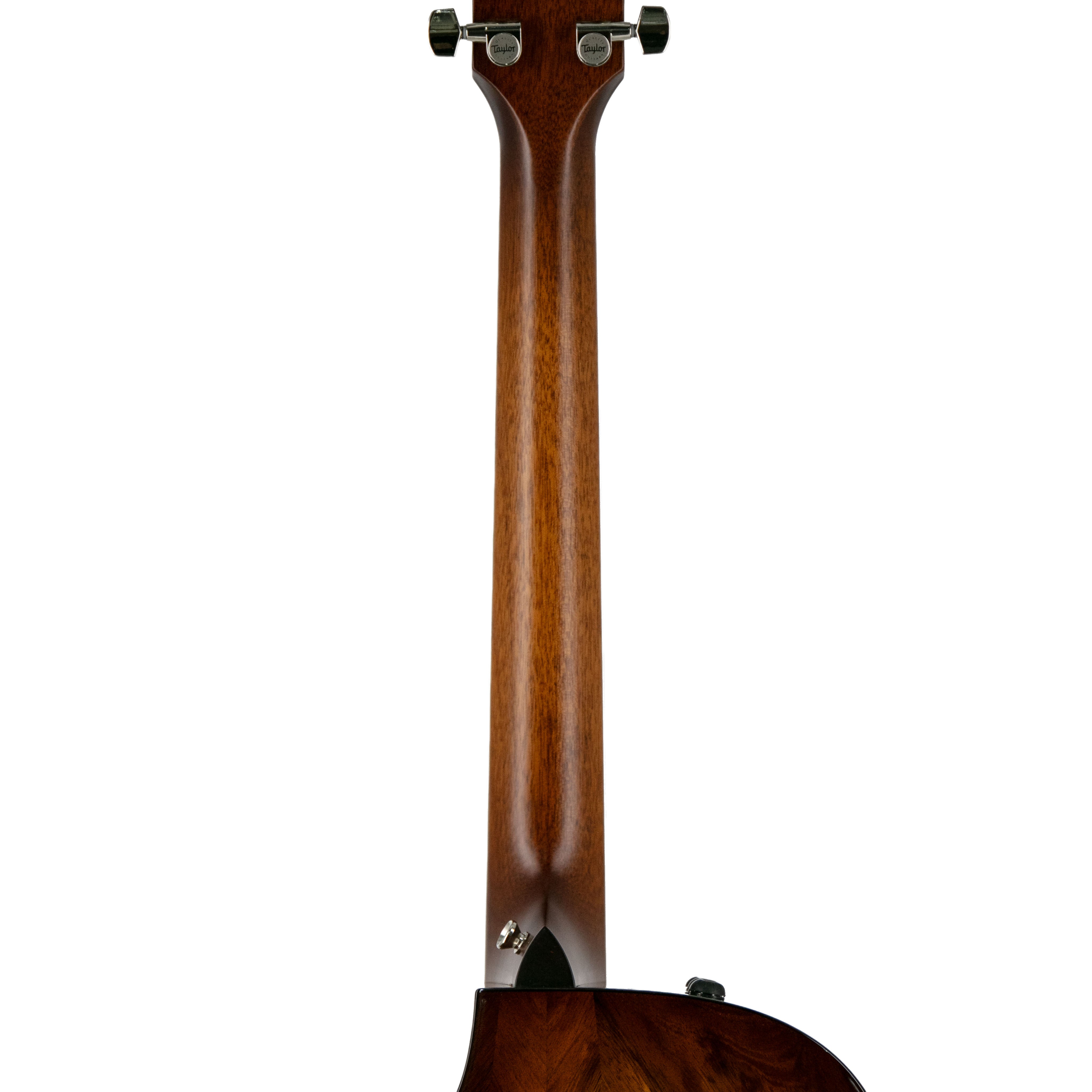 Taylor GSce-LTD 8-String Acoustic-Electric Guitar |  TAYLOR |  ACOUSTIC GUITAR |  Zoso Music