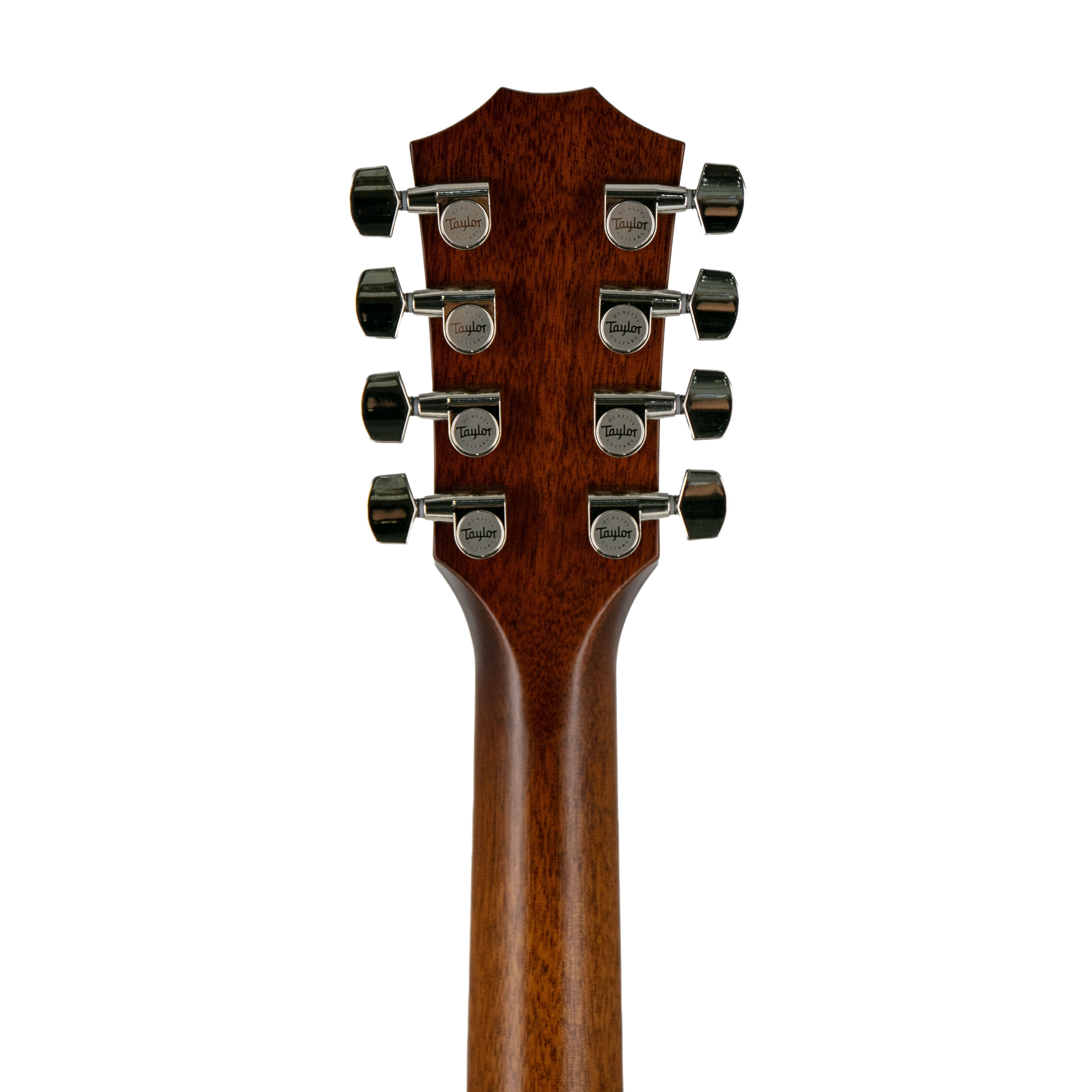 Taylor GSce-LTD 8-String Acoustic-Electric Guitar |  TAYLOR |  ACOUSTIC GUITAR |  Zoso Music