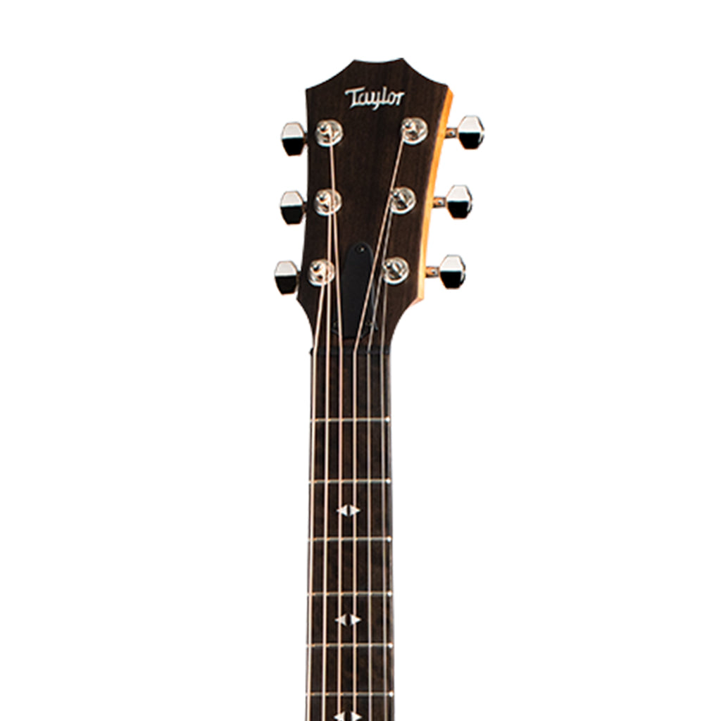 Taylor GT Grand Theater Urban Ash Acoustic Guitar w/AeroCase |  TAYLOR |  ACOUSTIC GUITAR |  Zoso Music