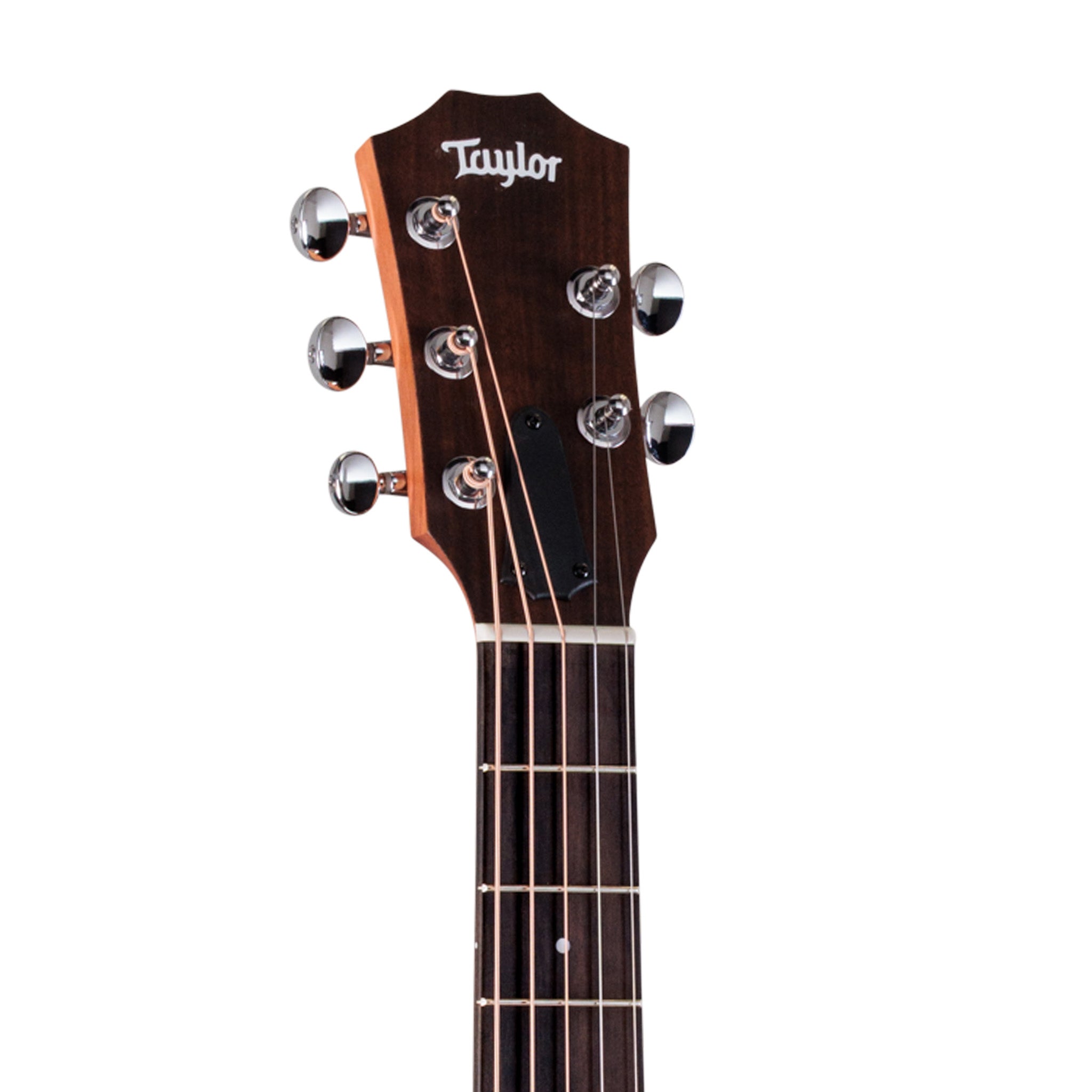 Taylor Jacob Collier GS Mini 5-String Acoustic Guitar w/Case |  TAYLOR |  ACOUSTIC GUITAR |  Zoso Music