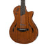 Taylor T5z Classic Electric Guitar w/Case, Rosewood Top | Zoso Music Sdn Bhd