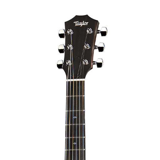 Taylor T5z Classic Electric Guitar w/Case, Rosewood Top |  TAYLOR |  ACOUSTIC GUITAR |  Zoso Music