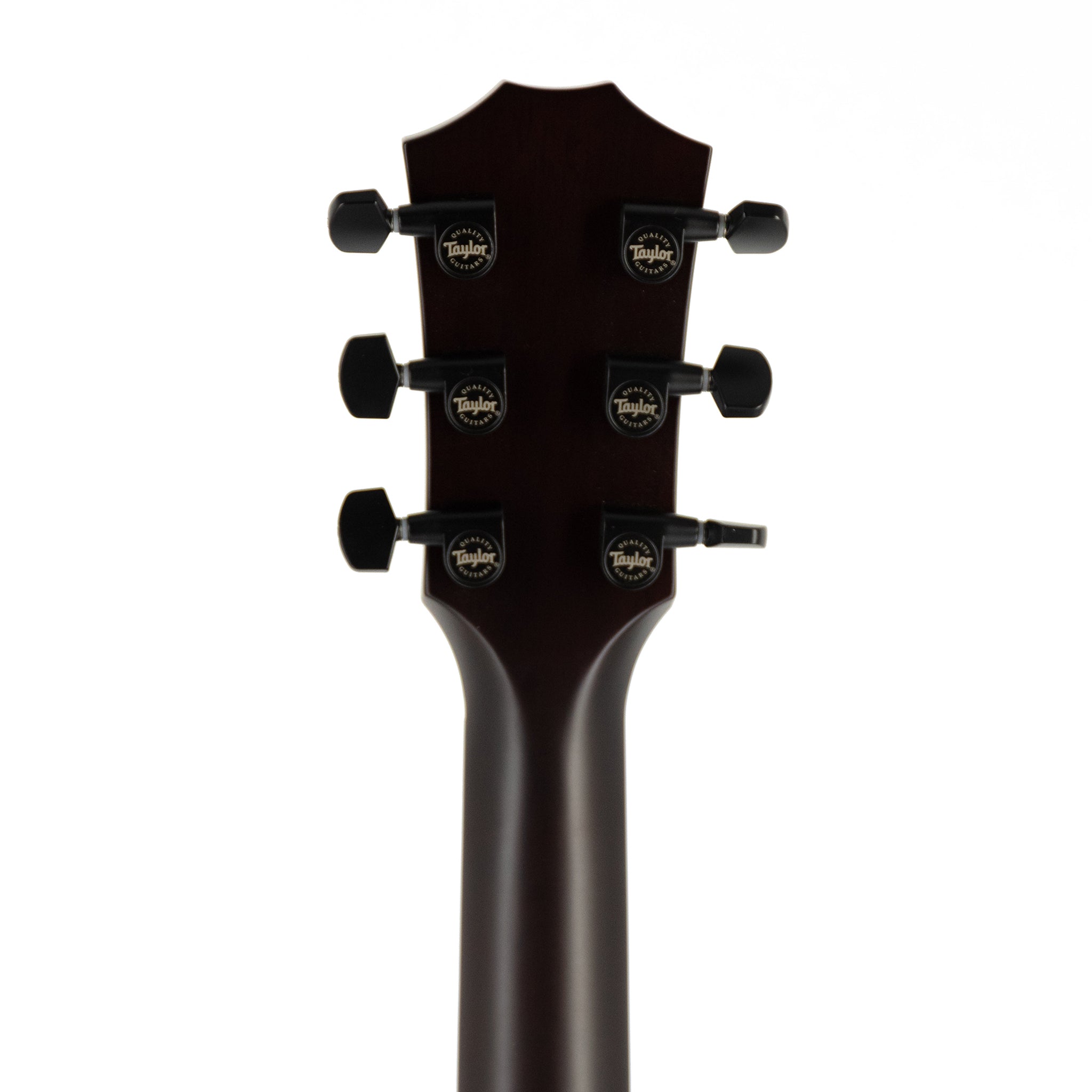 Taylor T5z Classic Electric Guitar w/Case, Sassafras Top |  TAYLOR |  ACOUSTIC GUITAR |  Zoso Music