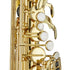 Antigua AS3108LQ Eb Alto Saxophone Lacquer Finish With Case (AS3108 LQ) |  ANTIGUA |  WOODWINDS-SAXOPHONE |  Zoso Music