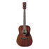 Ibanez PF14JR Acoustic Guitar - Open Pore Natural |  IBANEZ |  ACOUSTIC GUITAR |  Zoso Music