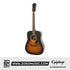 Epiphone EA10VSCH1 Songmaker DR-100 Acoustic Guitar - Vintage Sunburst |  EPIPHONE |  ACOUSTIC GUITAR |  Zoso Music