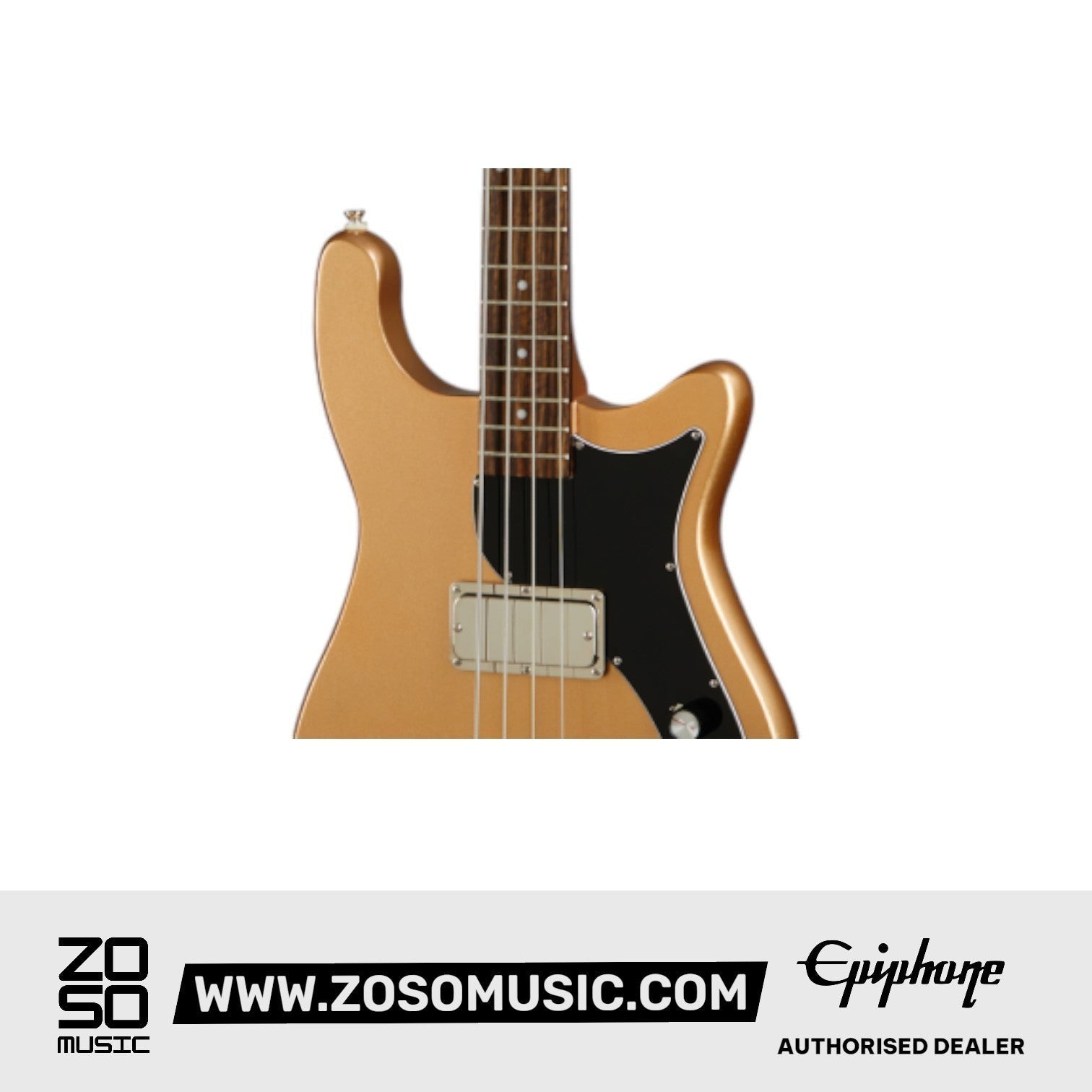 Epiphone EBEMSAMNH1 Embassy Bass - Smoked Almond Metallic |  EPIPHONE |  BASS GUITAR |  Zoso Music