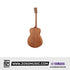 Yamaha Storia II Concert Acoustic Guitar |  YAMAHA MUSIC |  ACOUSTIC GUITAR |  Zoso Music