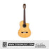 Cordoba Fusion 12 Natural CD Electric Guitar - Solid Canadian Cedar Top, Mahogany Back & Sides |  CORDOBA |  CLASSICAL GUITAR |  Zoso Music