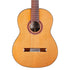 Cordoba C7 CD W/GC - Solid Canadian Cedar Top, Rosewood Back & Sides With Guitar Case (C7CD) |  CORDOBA |  CLASSICAL GUITAR |  Zoso Music