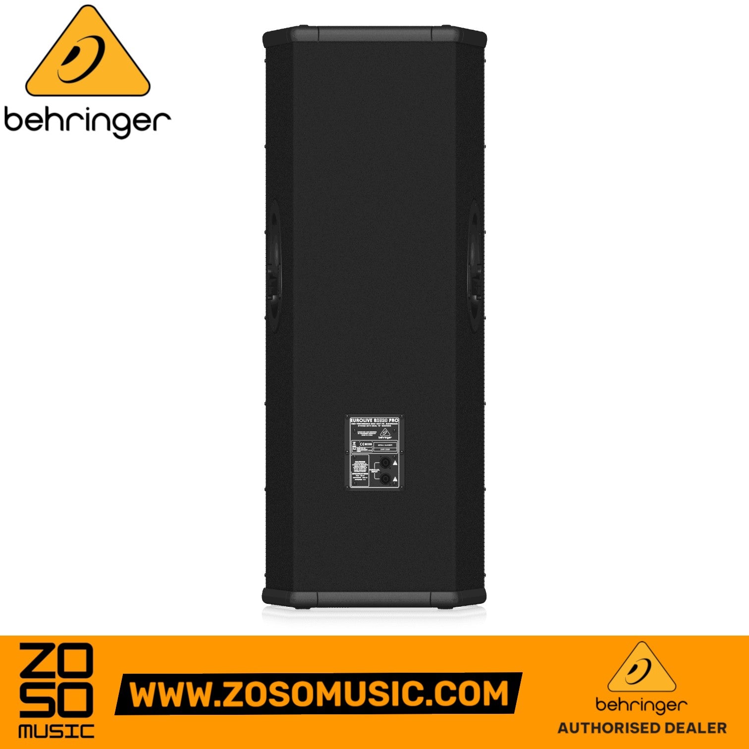 Zoso Music Behringer Eurolive B2520 PRO passive PA speaker, rear view showing input panel and rugged black cabinet