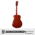 Zoso Music Caesar X-366 36-inch acoustic guitar back view featuring a glossy sapele wood body and okoume neck