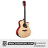 Zoso Music Caesar WL-850C 41-inch acoustic guitar with solid spruce top, sapele back and sides, and cutaway design.