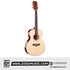 Zoso Music Caesar X-366 36-inch acoustic guitar with a natural spruce top and high-gloss finish