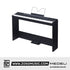 Zoso Music Medeli SP-C120 88-key digital piano in black with weighted keys and pedal unit. Includes music stand.