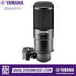 Zoso Music Steinberg ST-M01 black condenser microphone for home studio recording